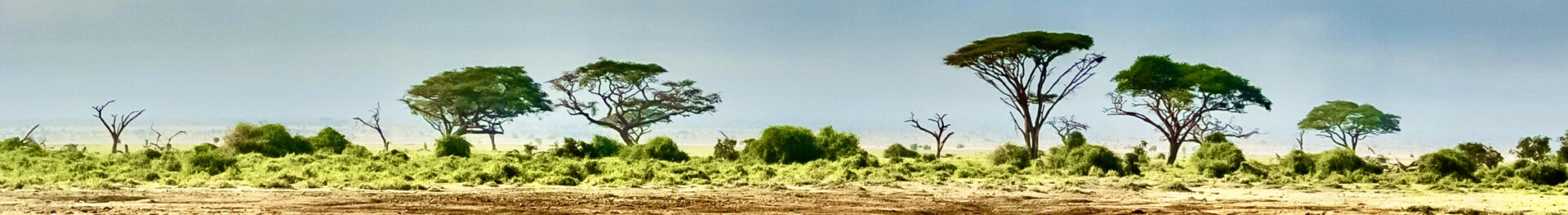 Bodhisattva Training